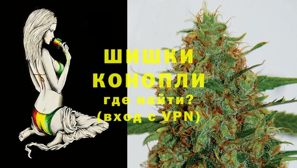 тгк Абаза