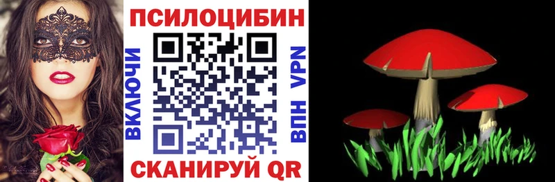 Галлюциногенные грибы Cubensis  Кадников 